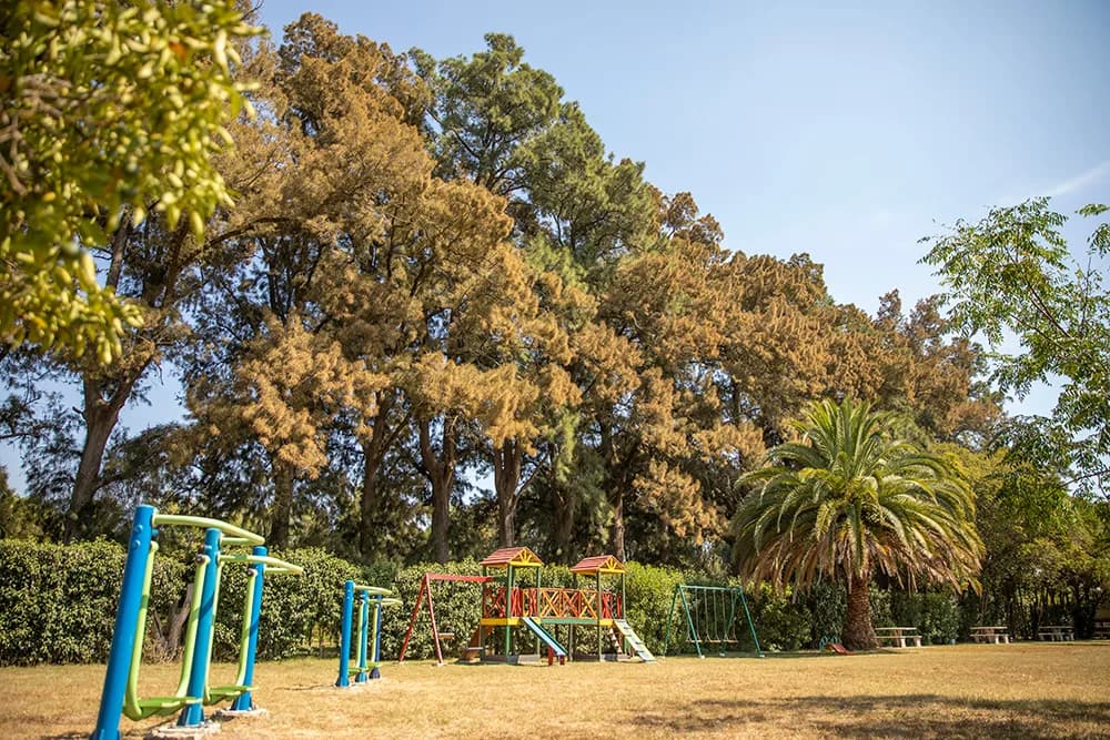 Children's playground